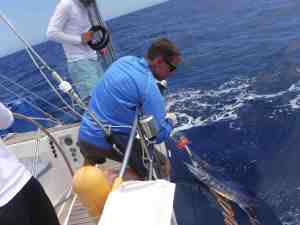 The elusive Blue Marlin, jr.  We released him!
