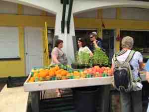 Jackie looking over market
